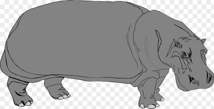 Hippo Hippopotamus Rhinoceros Pig PNG