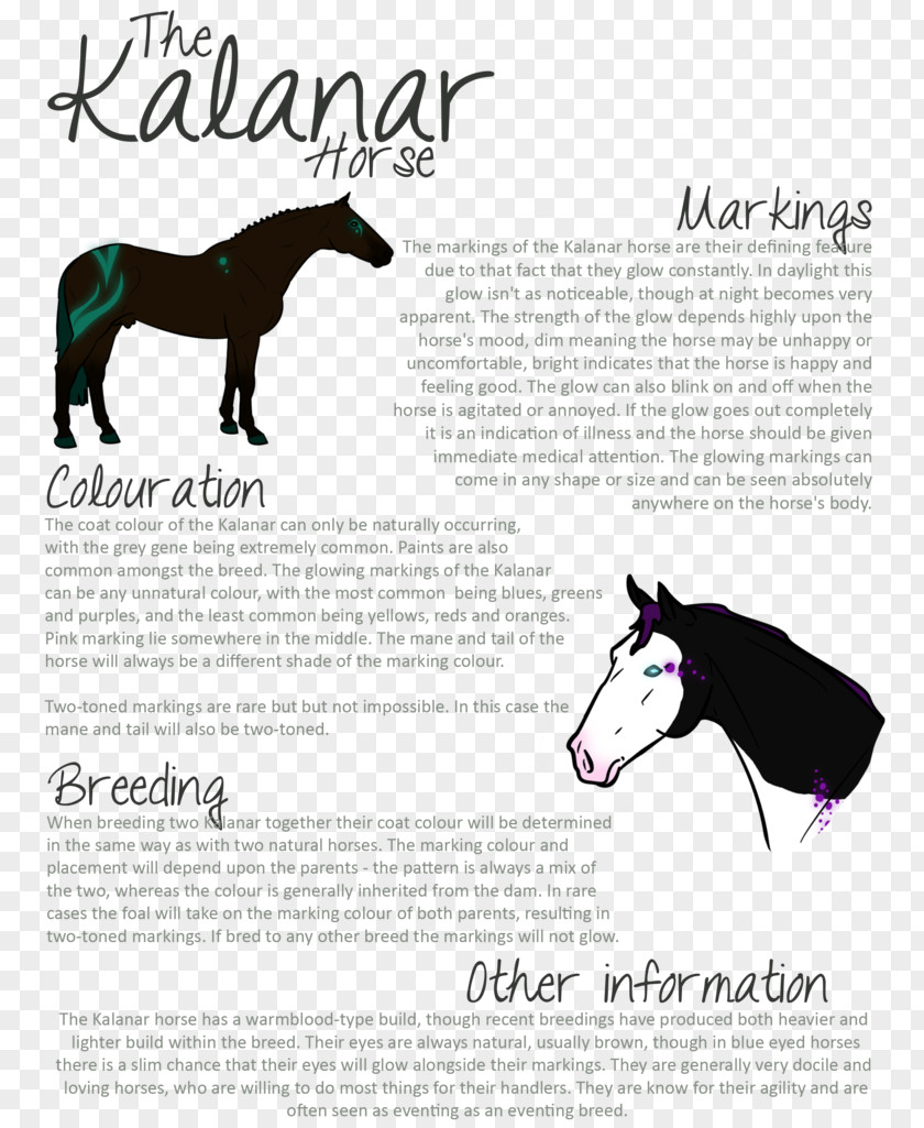 Lily Pad Mustang Horse Tack Freikörperkultur Illustration Military PNG
