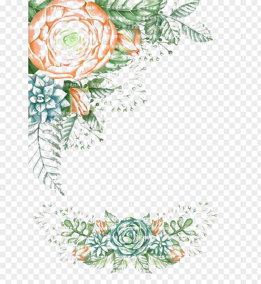 Peony Floral Design Textile Area Pattern PNG