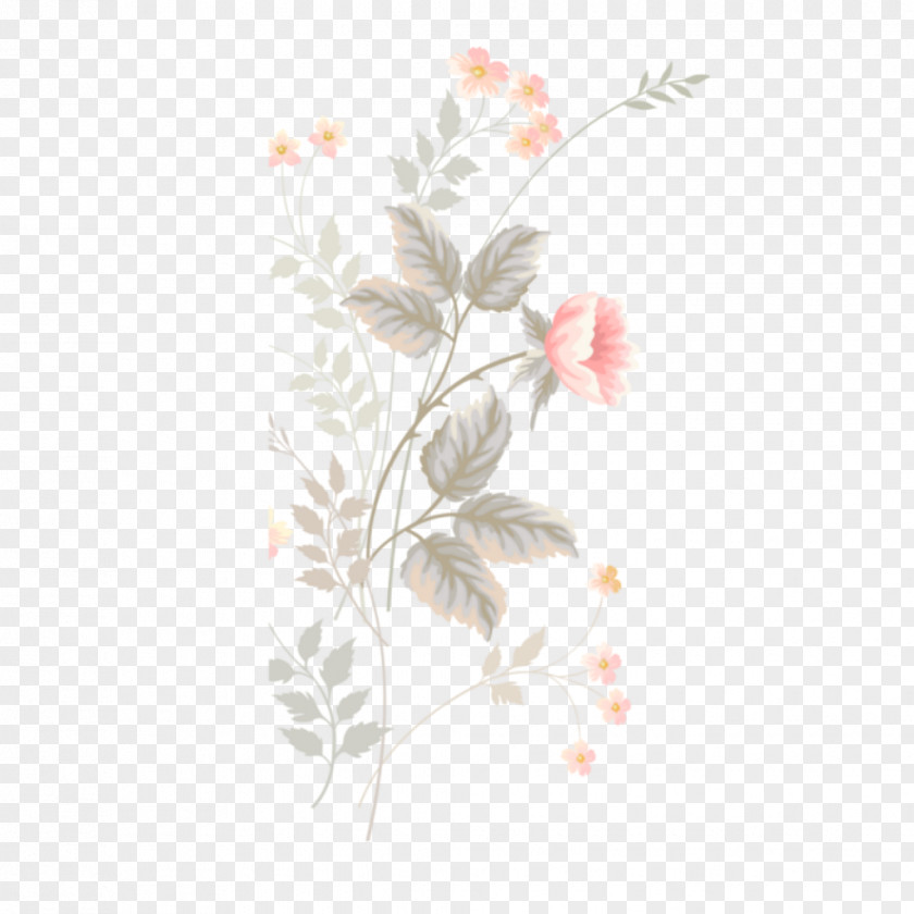 Plant Stem Twig Rose Flower Drawing PNG