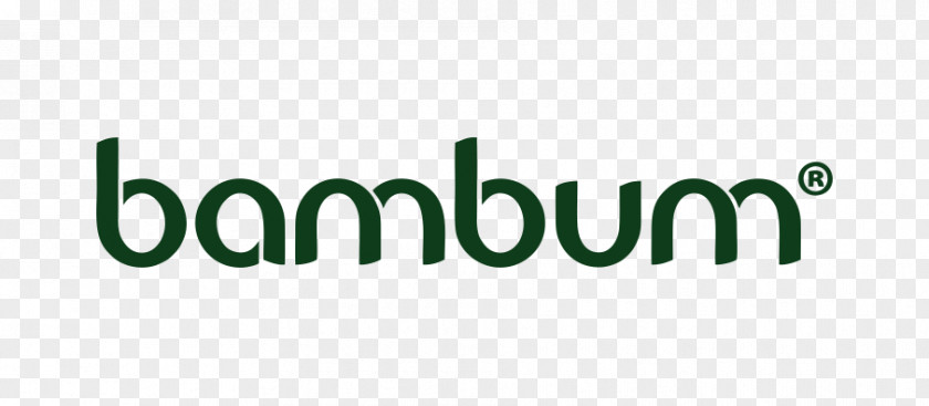 Bambu Logo Product Design Brand Green PNG