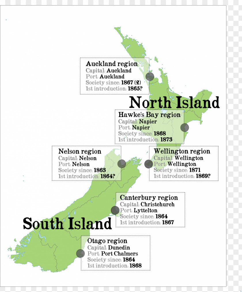 Bird Acclimatisation Societies In New Zealand Location Map Yellowhammer PNG