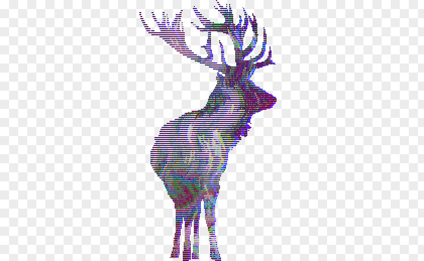 Deer Elk Red Moose Roe PNG