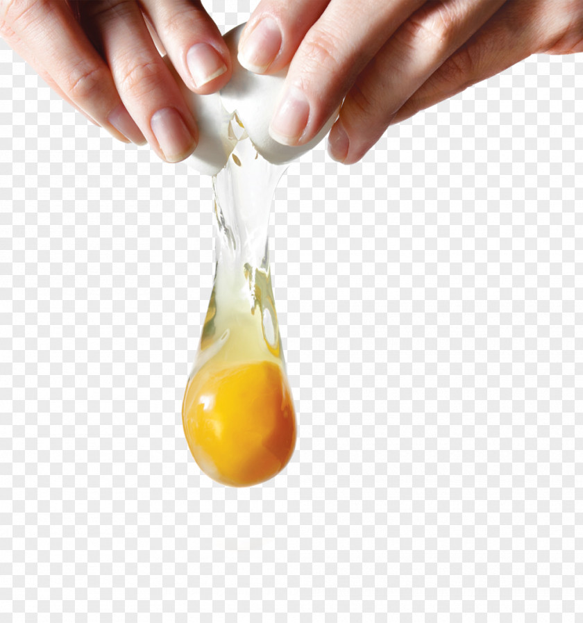 Eggs Eggshell Yolk Stock Photography Egg White PNG