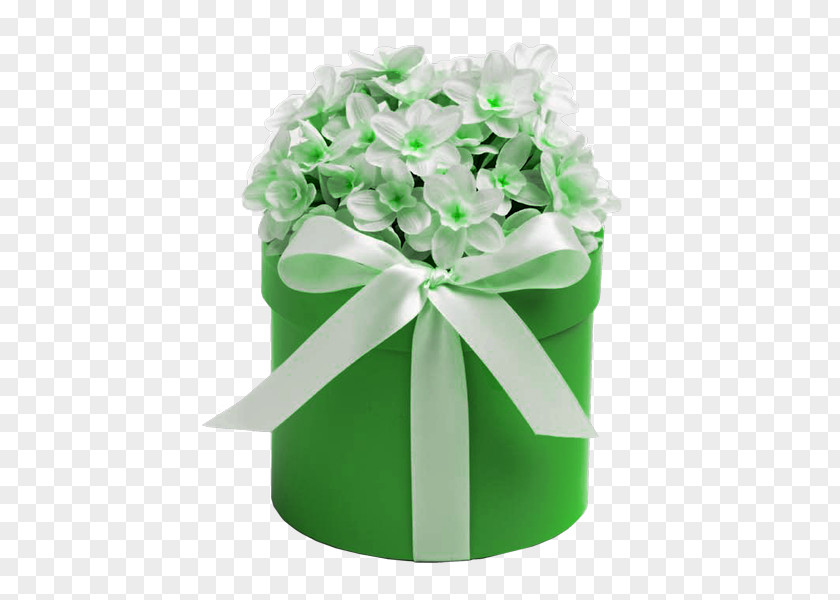 Green Ribbon Gift Wedding Marriage Clip Art PNG