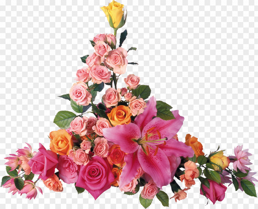 Lily Lilium High-definition Television Desktop Wallpaper Flower PNG