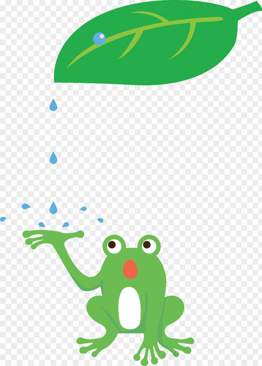 Tree Frog Frogs Meter Animal Figurine Toad PNG