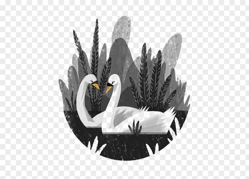 White Swan Drawing Illustrator Work Of Art Illustration PNG