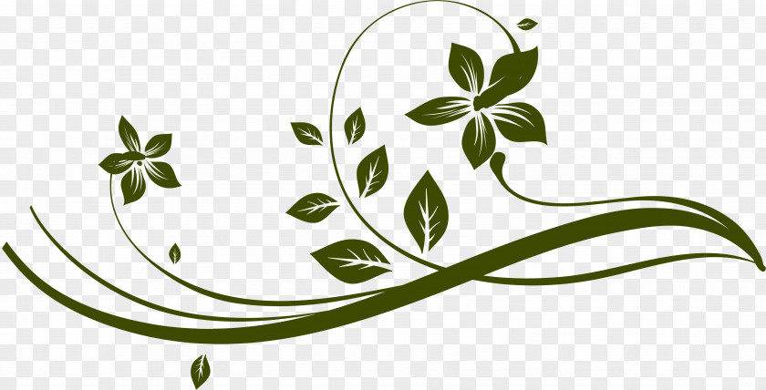 Leaf Plant Stem Green Clip Art PNG