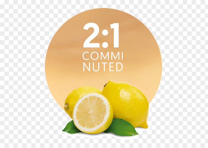 Lemon Lemon-lime Drink Juice PNG