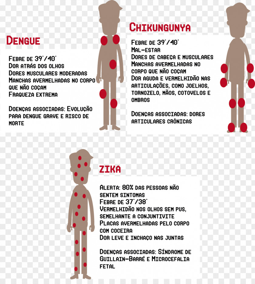 Mosquito Yellow Fever Dengue Zika Virus Chikungunya Infection PNG