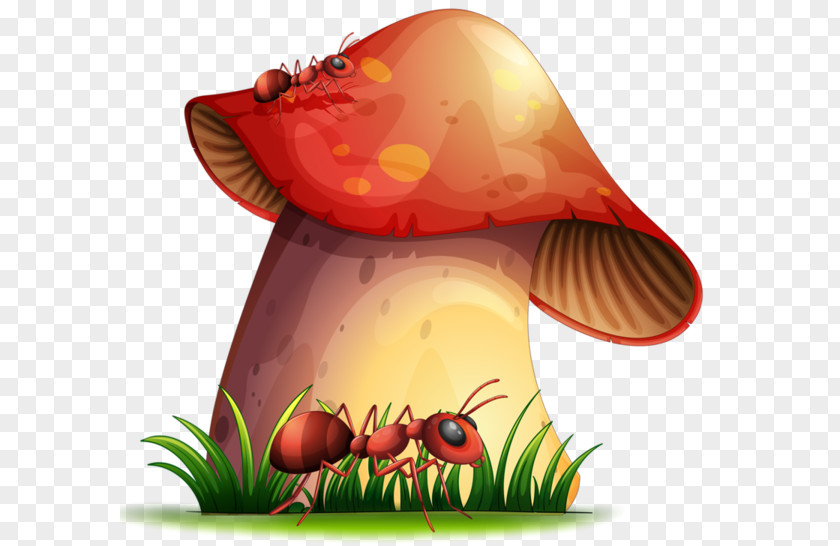 Mushroom Vector Graphics Clip Art Photography PNG