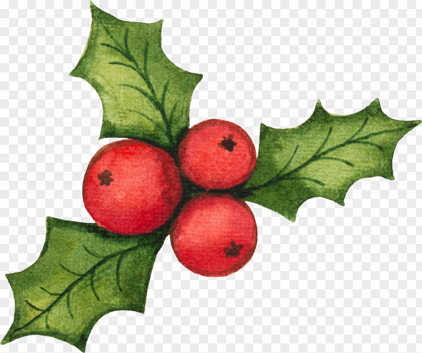 Santa Claus Vector Graphics Clip Art Christmas Decoration Illustration PNG