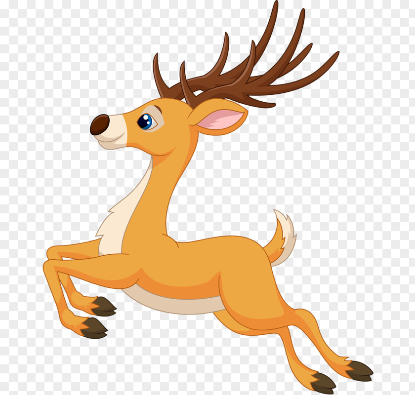 Cow Ornament Deer Vector Graphics Stock Photography Illustration PNG