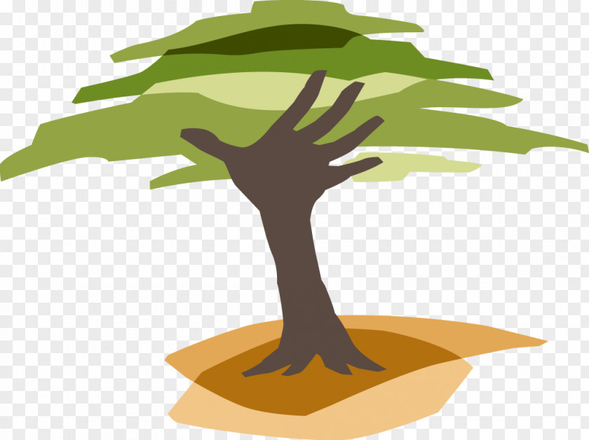 Forest Eden Reforestation Projects Non-profit Organisation Organization PNG