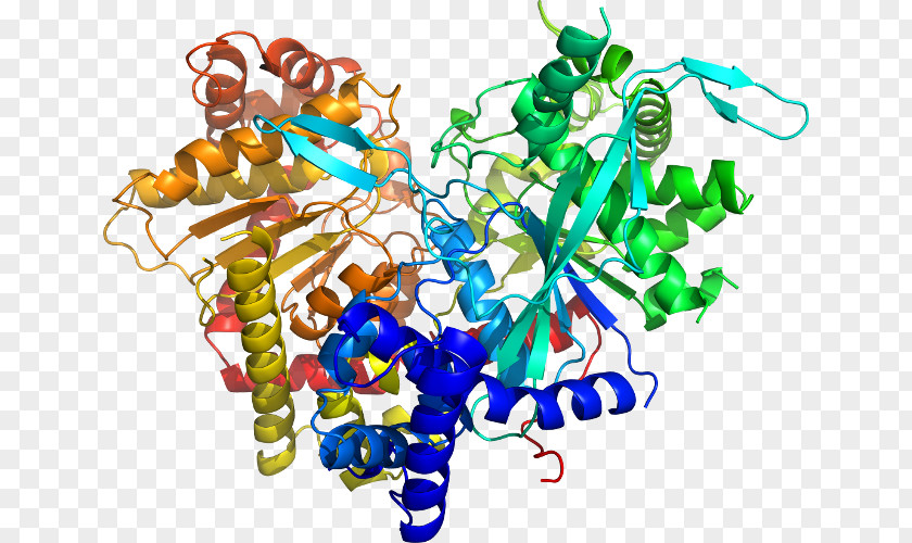 Glycogen Phosphorylase Ligand Docking Thermodynamic Free Energy Clip Art PNG