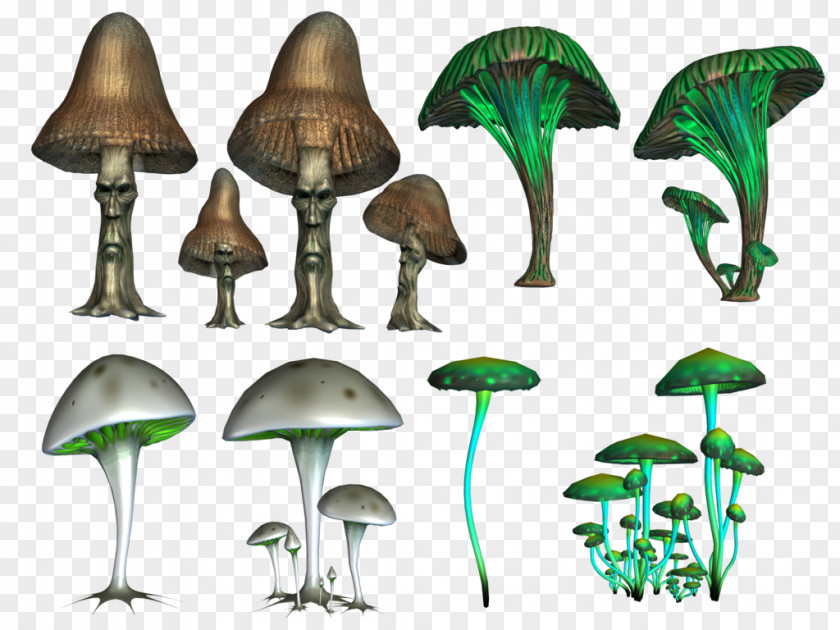 Mushrooms Psilocybin Mushroom Clip Art PNG