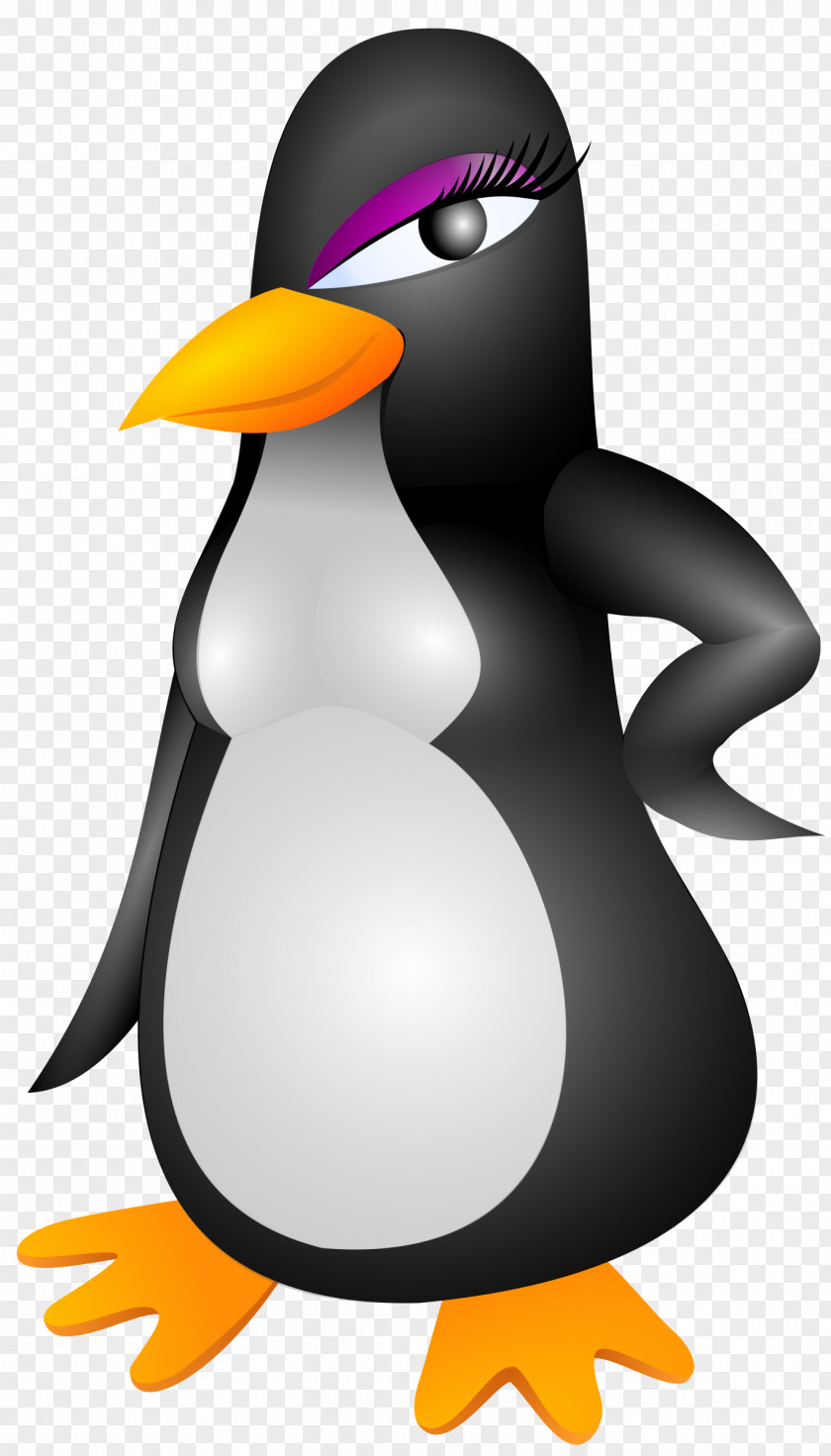 Penguin King Vector Graphics Clip Art Image PNG