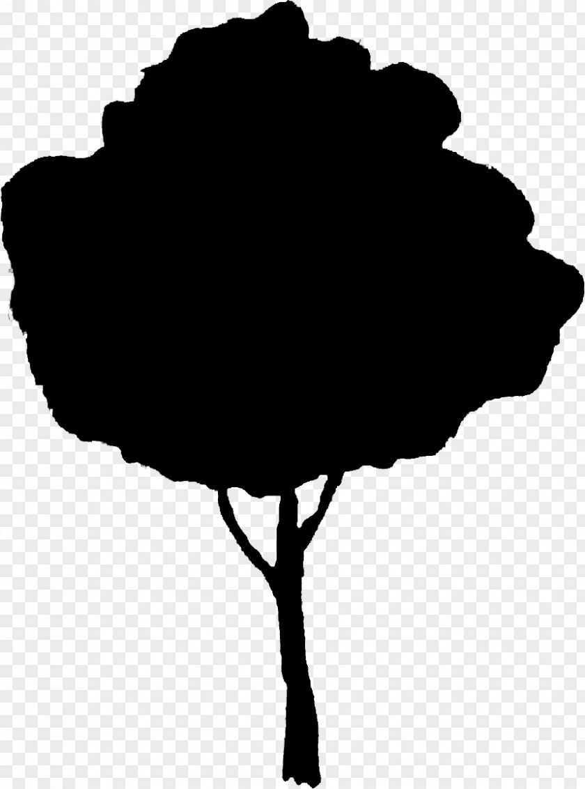 Plant Stem Tree Silhouette PNG