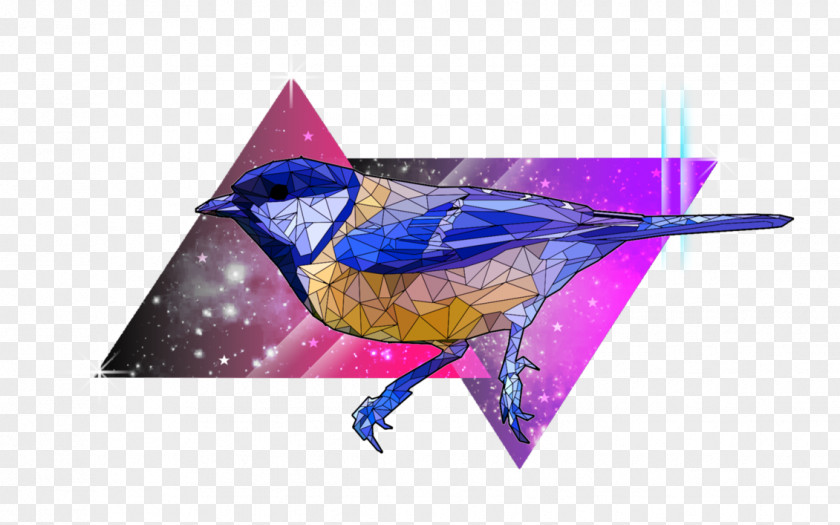 Triangle Beak Feather PNG