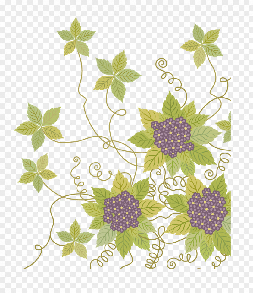 Vector Floral Flowers Flower Euclidean Vine Clip Art PNG