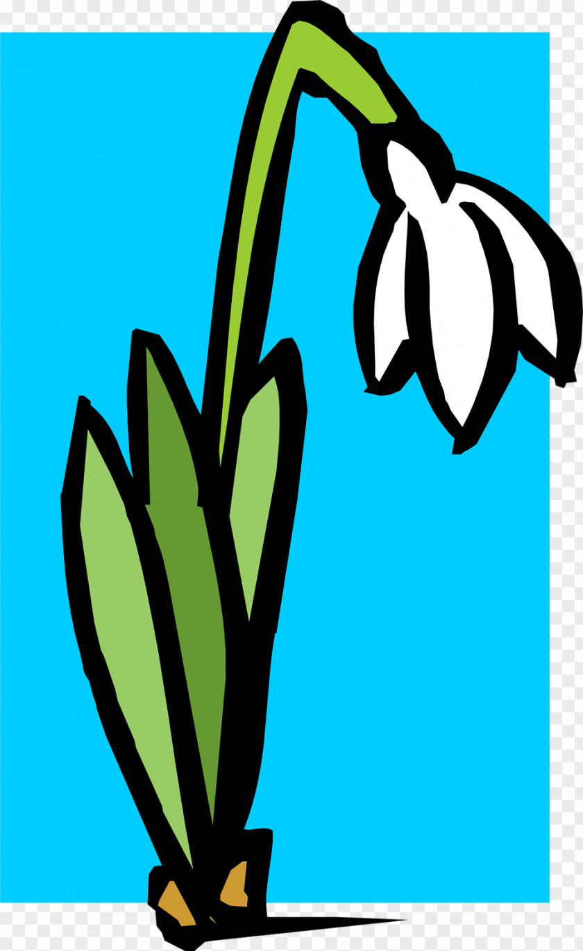 White Flower Illustration Snowdrop March 1 Mărțișor Martenitsa Spring PNG