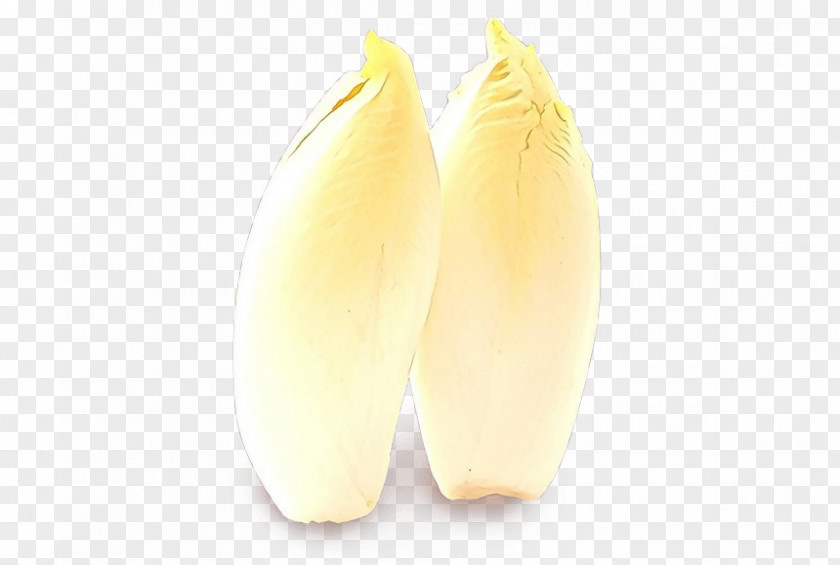 Yellow Plant Endive Vegetable PNG