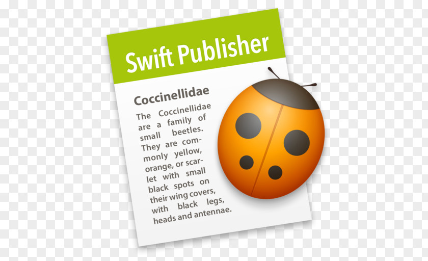Belight Software MacOS Microsoft Publisher Publishing Swift Computer PNG