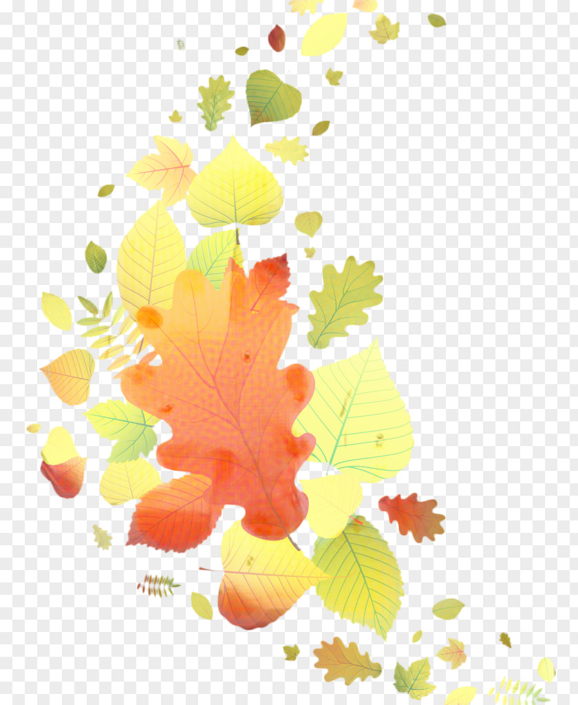 Branch Plant Autumn Leaf Drawing PNG