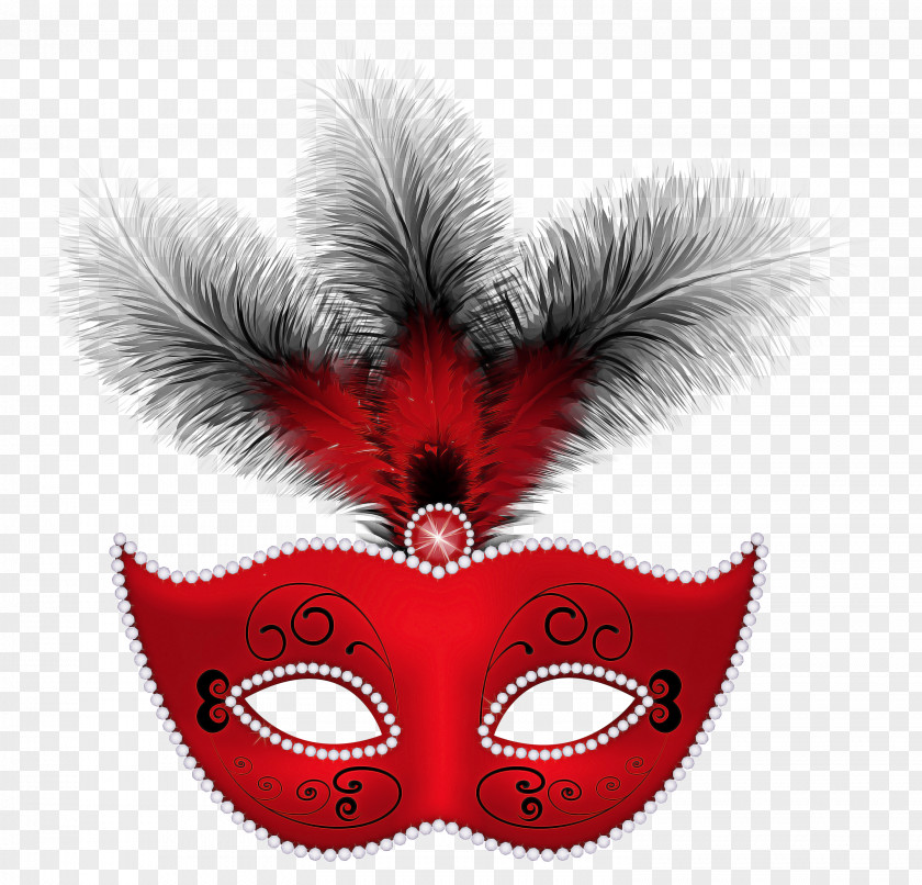 Costume Hat Wing Cartoon PNG
