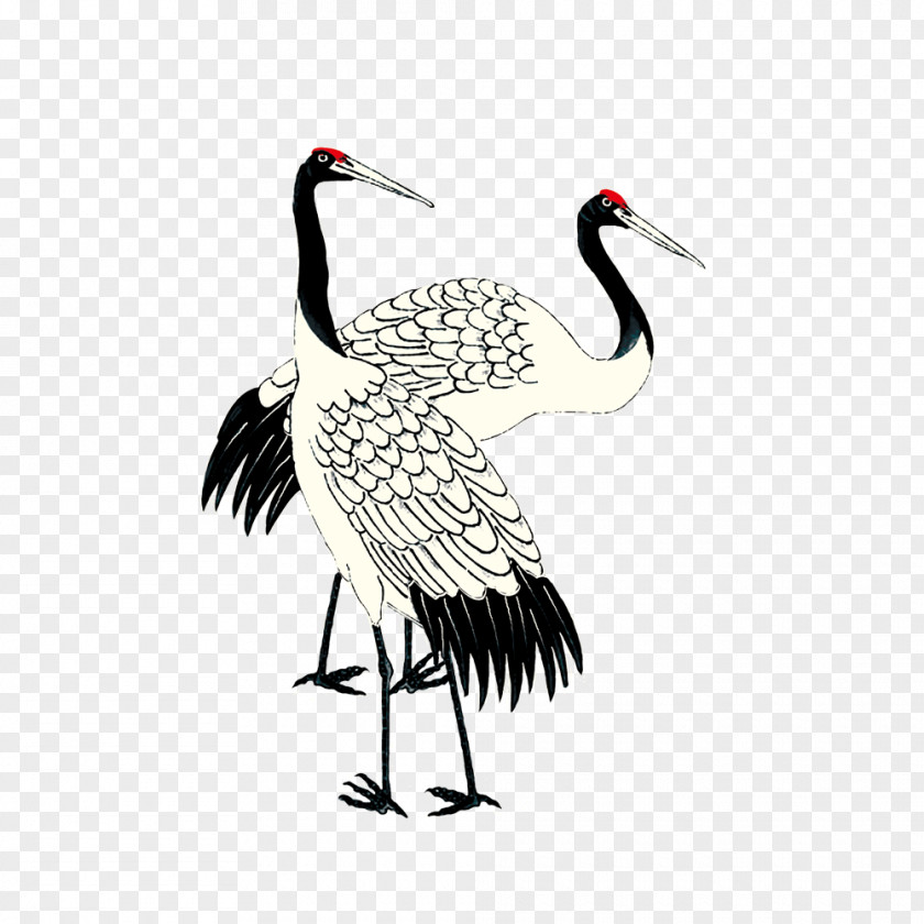 Crane Red-crowned Ink Wash Painting Art PNG