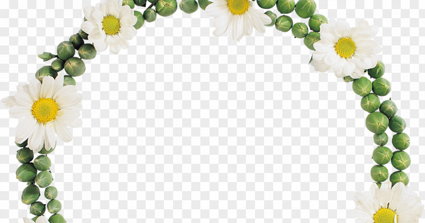 Flower Floral Design Clip Art PNG