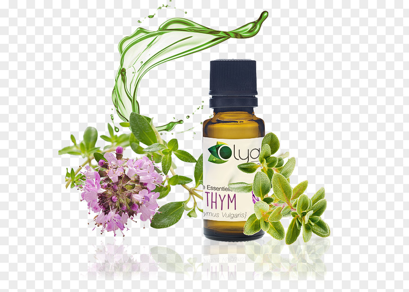 Oil Essential Aromatherapy Lavender Bourbon Geranium PNG