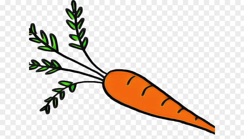 Plant Carrot Cartoon PNG