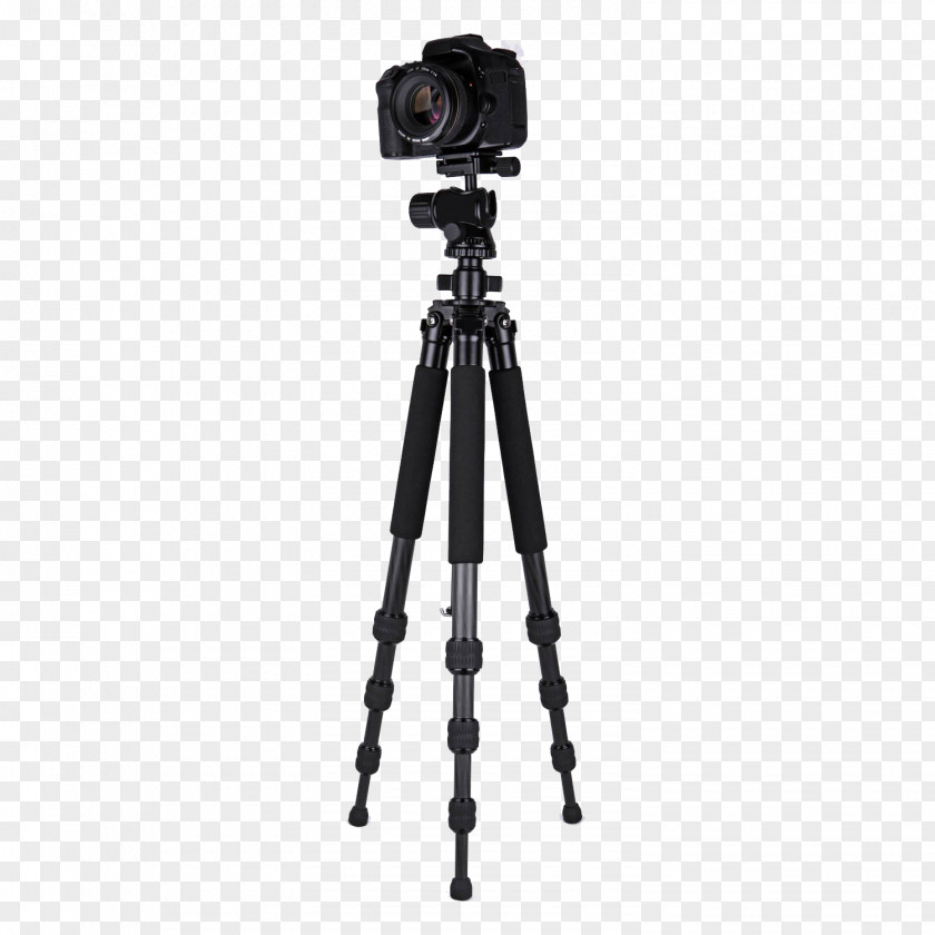 Video Camera Tripod Image Ball Head PNG