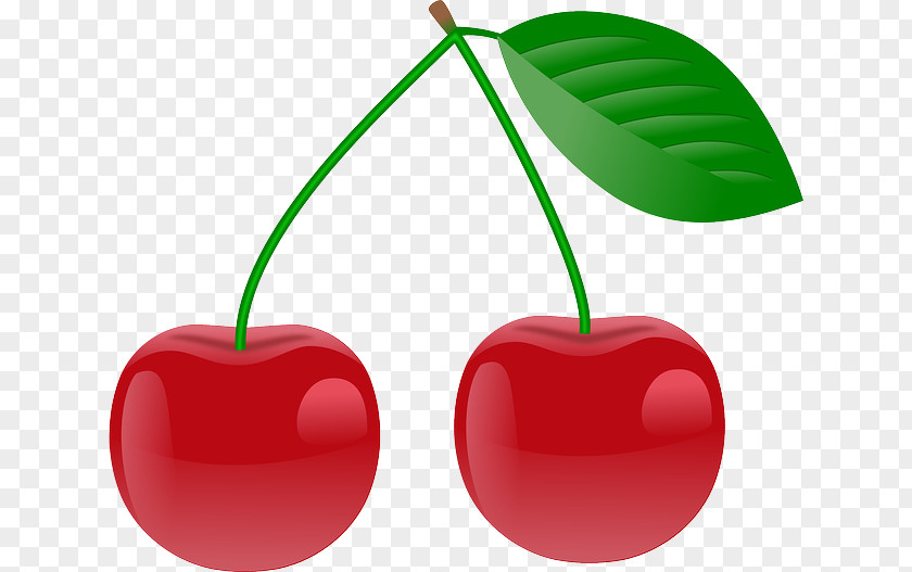 Cherry Photography PNG