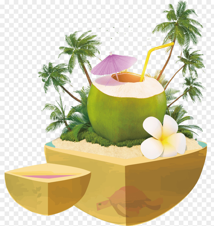 Cocanut Ornament Coconut Water Milk Cocktail Juice PNG