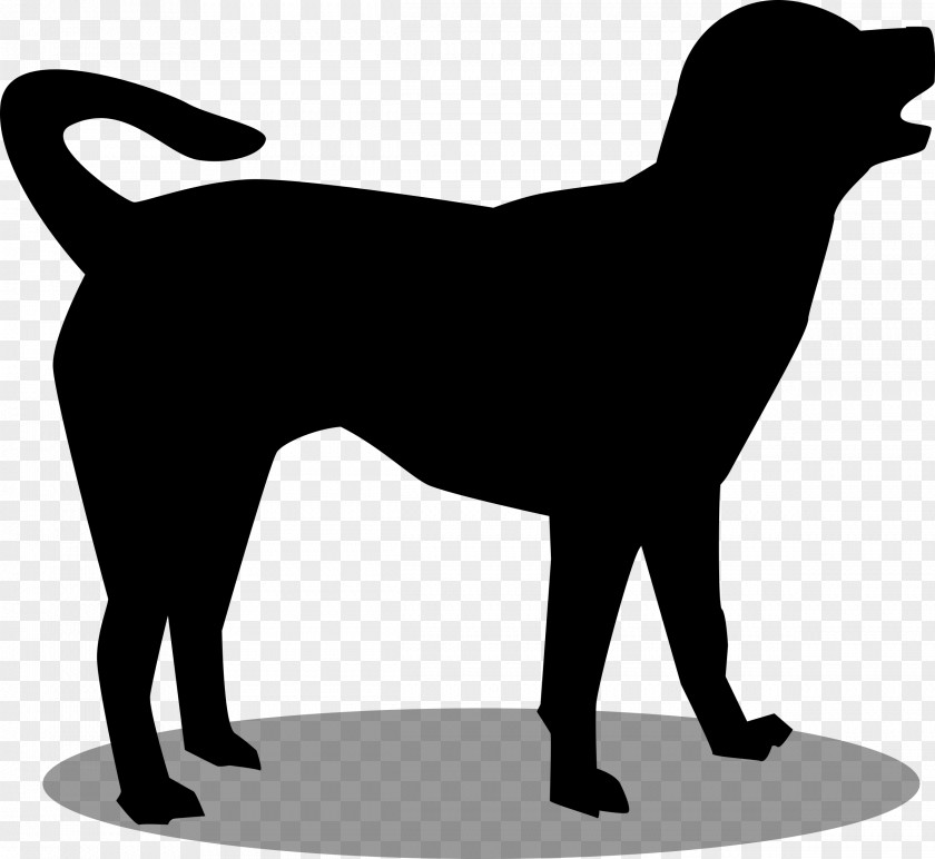 Dog Breed Puppy Leash Clip Art PNG