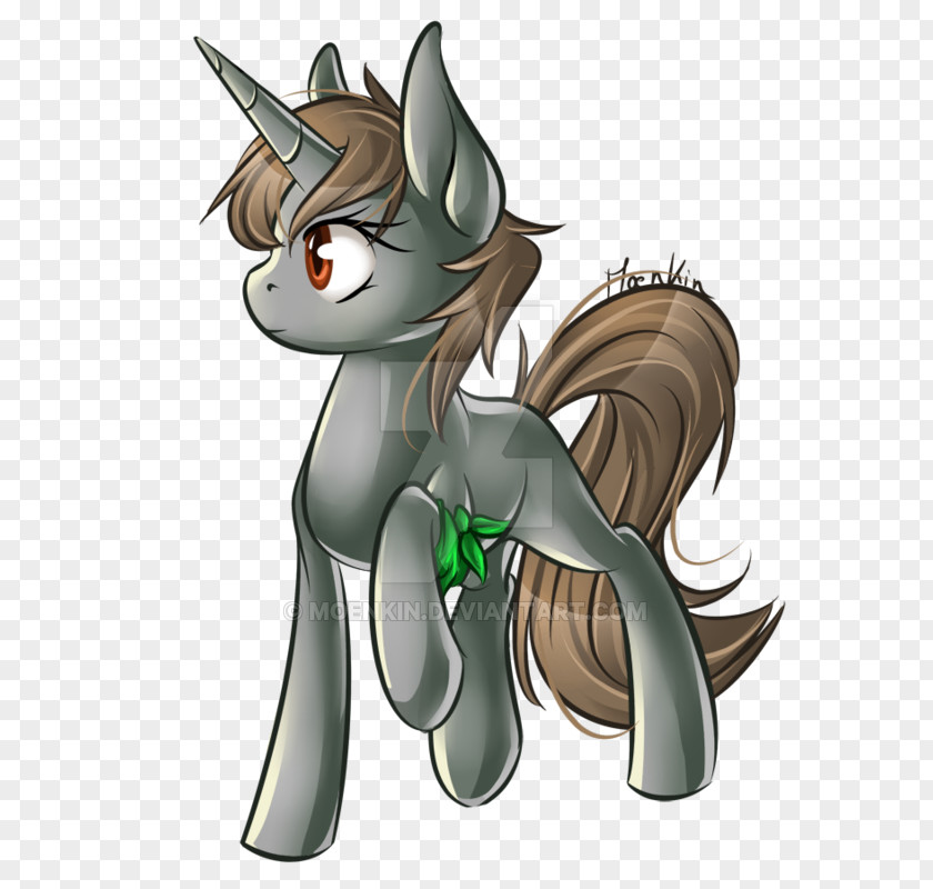 Horse Cat Cartoon Tail PNG