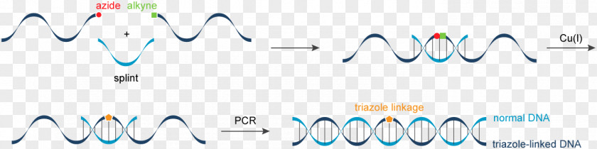 Nucleic Acid Sequence Logo Desktop Wallpaper PNG