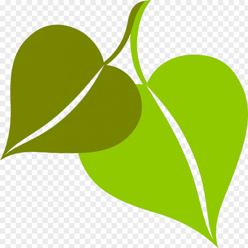 Plant Stem Leaf Green Line Meter PNG