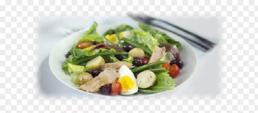 Salad Nicoise Greek Tuna Recipe PNG