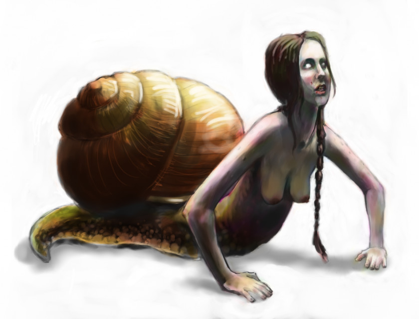 Snail Gastropods Keyword Research Slug Concept Art PNG