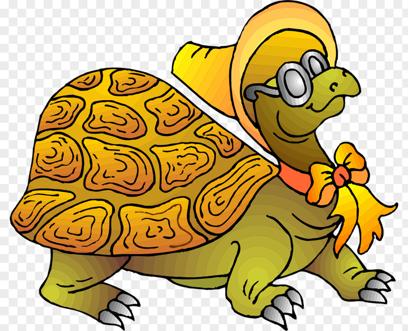 Turtle Les Petites Pensées Humoristiques De Lapinou Clip Art PNG
