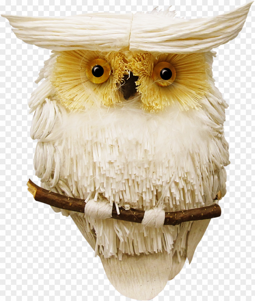 Cute Owl Little Wallpaper PNG