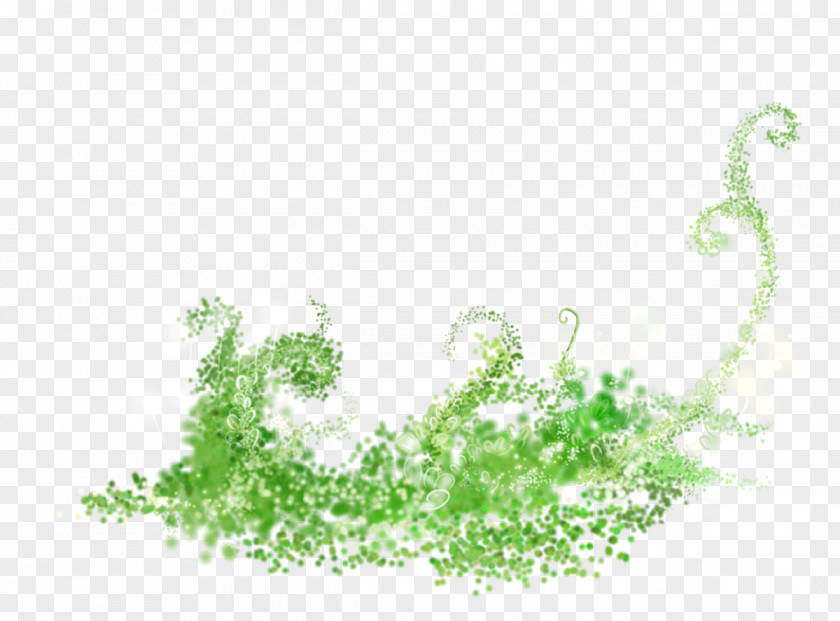 Green Grass Illustration PNG