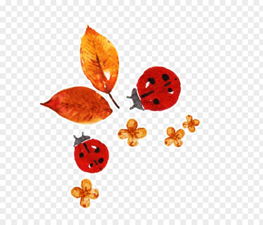 Hand-painted Ladybug Download Ladybird Computer File PNG