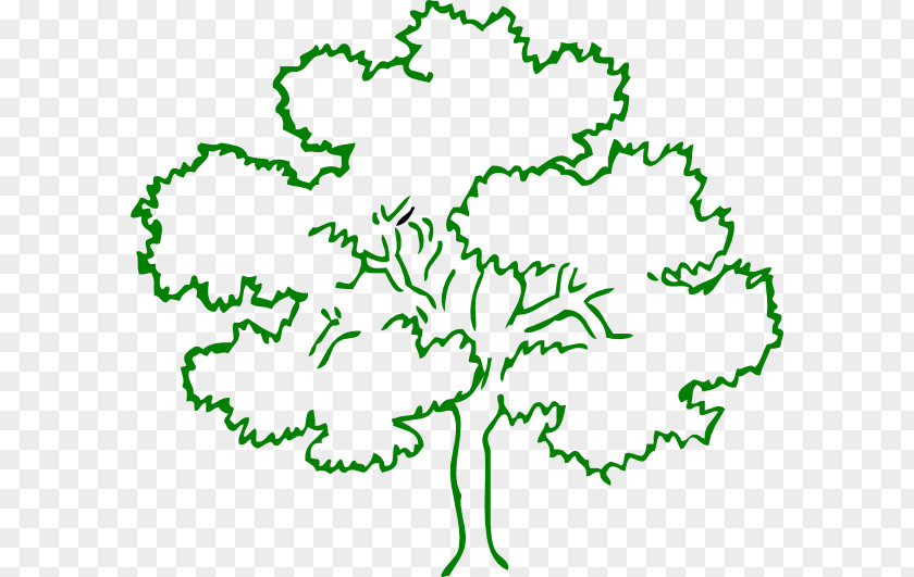 Tree Outline Printable Black And White Oak Clip Art PNG