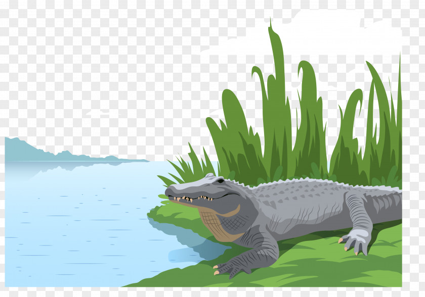 Vector A Small Crocodile Alligator Illustration PNG