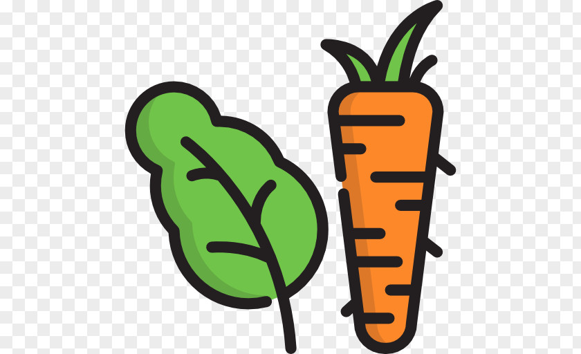 Vegetable Icon Food Lettuce Clip Art PNG